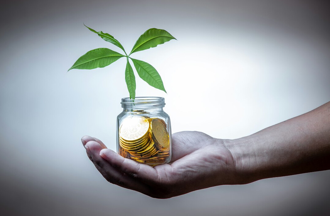 person investing in self development