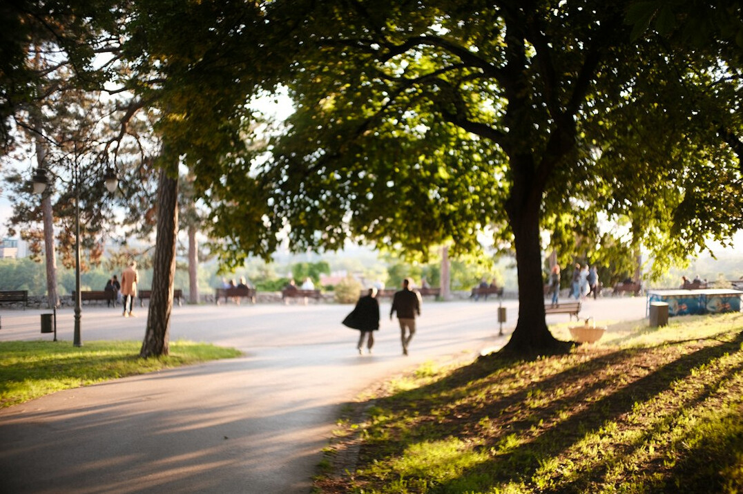 person walking in park